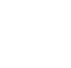 Pulmonary Icon